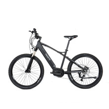 Heavy-duty electric mountain bike